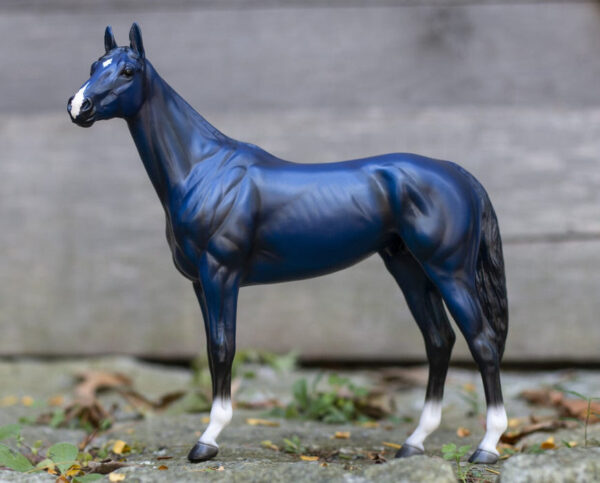 Big Lex | Decorator Thoroughbred - Image 3