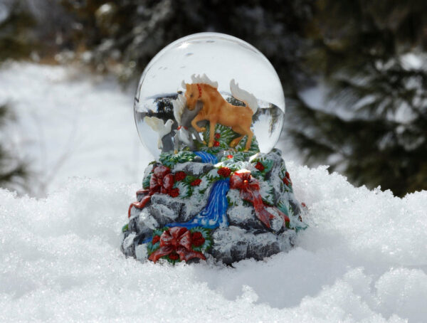 Winter Woodland | Musical Snow Globe - Image 2