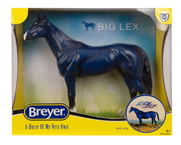 Big Lex | Decorator Thoroughbred - Image 2