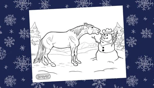 20242025-winter-coloring-contest-734136_505x289_crop_center